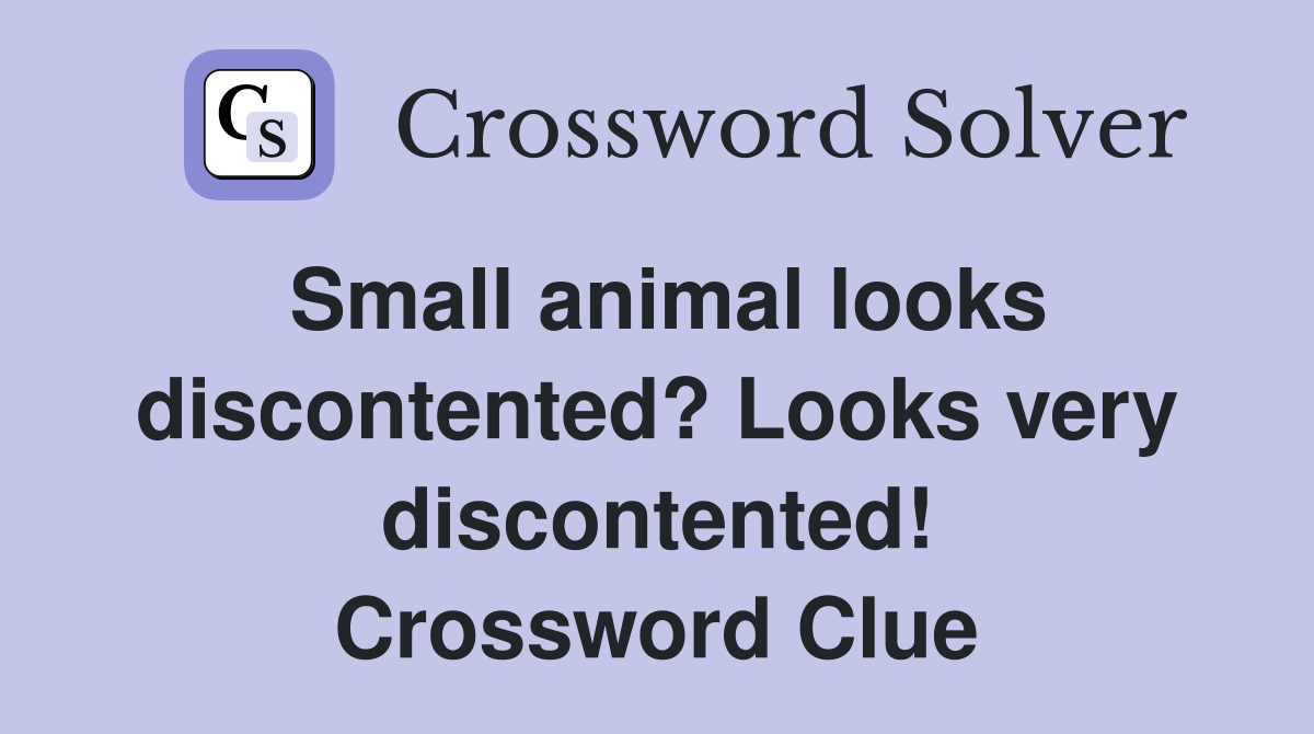 Small animal looks discontented? Looks very discontented! Crossword Clue