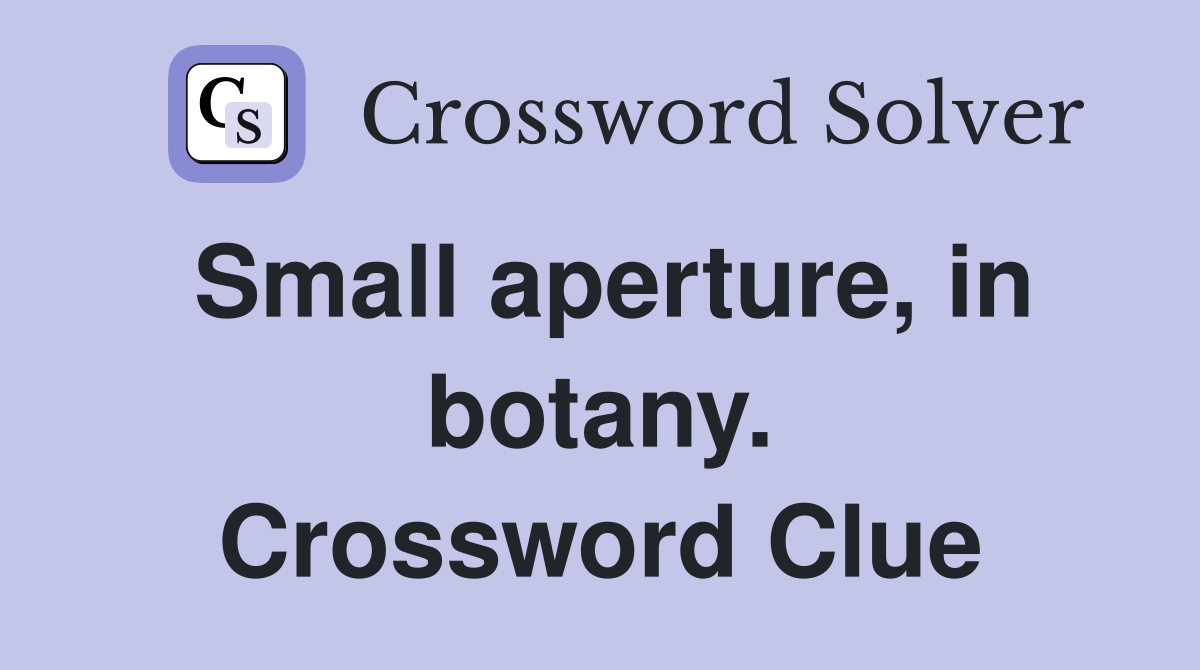 Small aperture, in botany. Crossword Clue