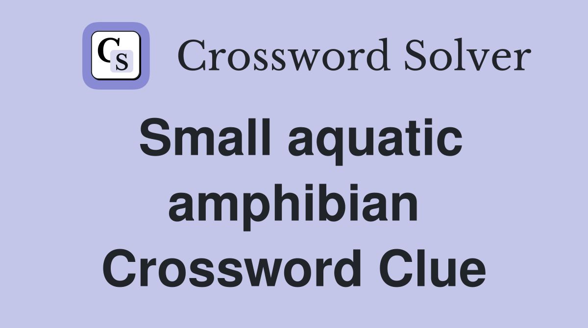 Small aquatic amphibian Crossword Clue