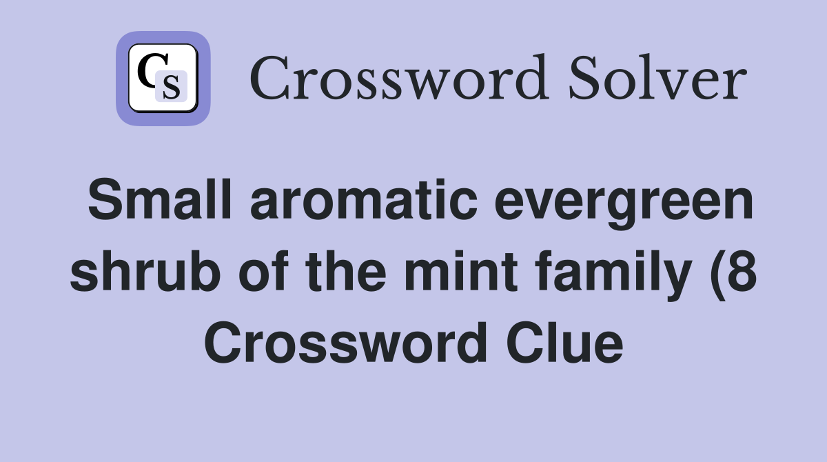 Small aromatic evergreen shrub of the mint family (8) Crossword Clue Small aromatic evergreen shrub of the mint family (8) Crossword Clue