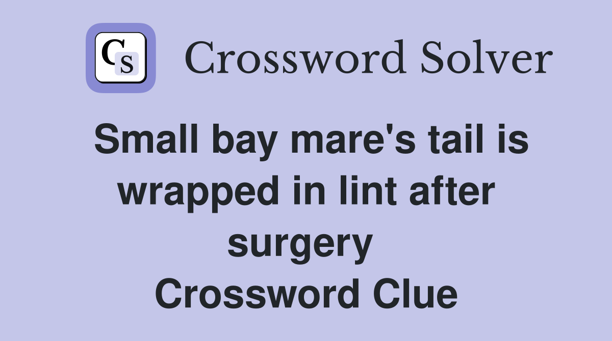 Small bay mare's tail is wrapped in lint after surgery  Crossword Clue