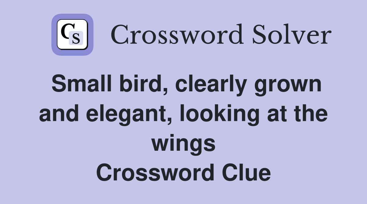 Small bird, clearly grown and elegant, looking at the wings Crossword Clue