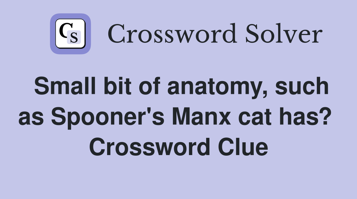 Small bit of anatomy, such as Spooner's Manx cat has?  Crossword Clue