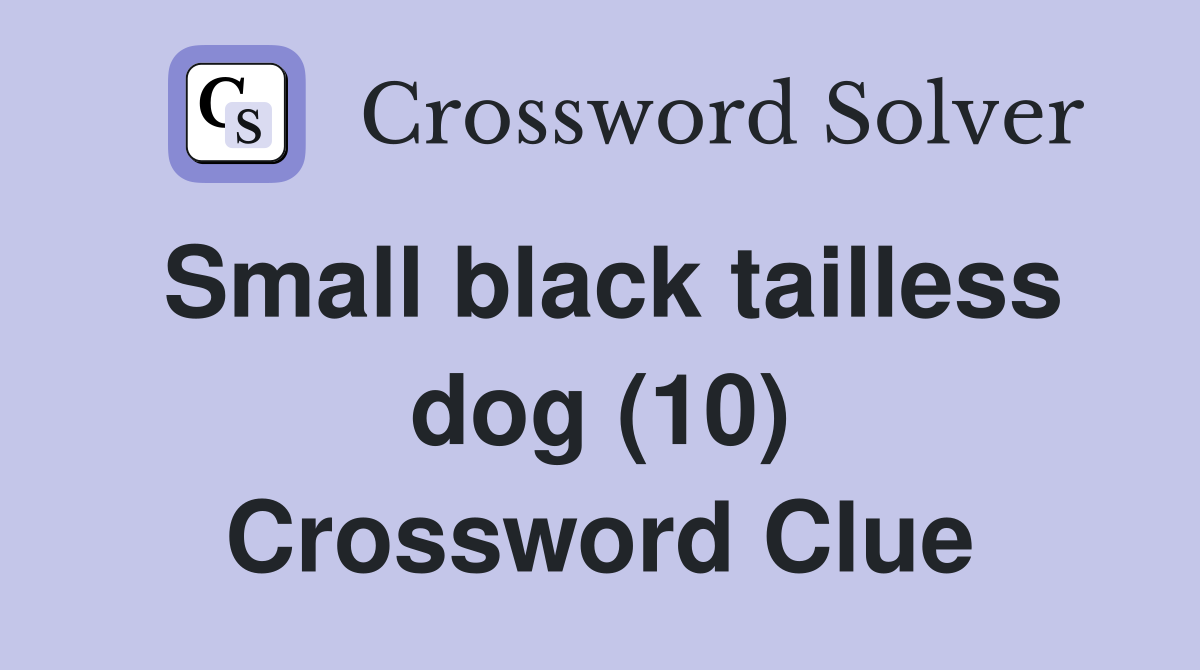 Small black tailless dog (10) Crossword Clue