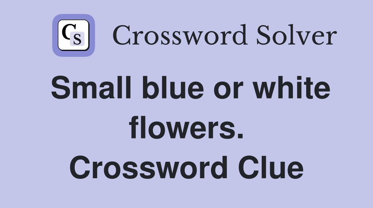 Small blue or white flowers. Crossword Clue