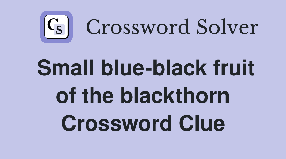 Small blue-black fruit of the blackthorn Crossword Clue