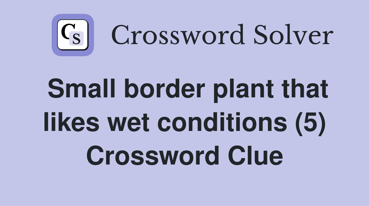 Small border plant that likes wet conditions (5) Crossword Clue
