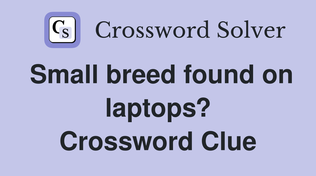 Small breed found on laptops? Crossword Clue