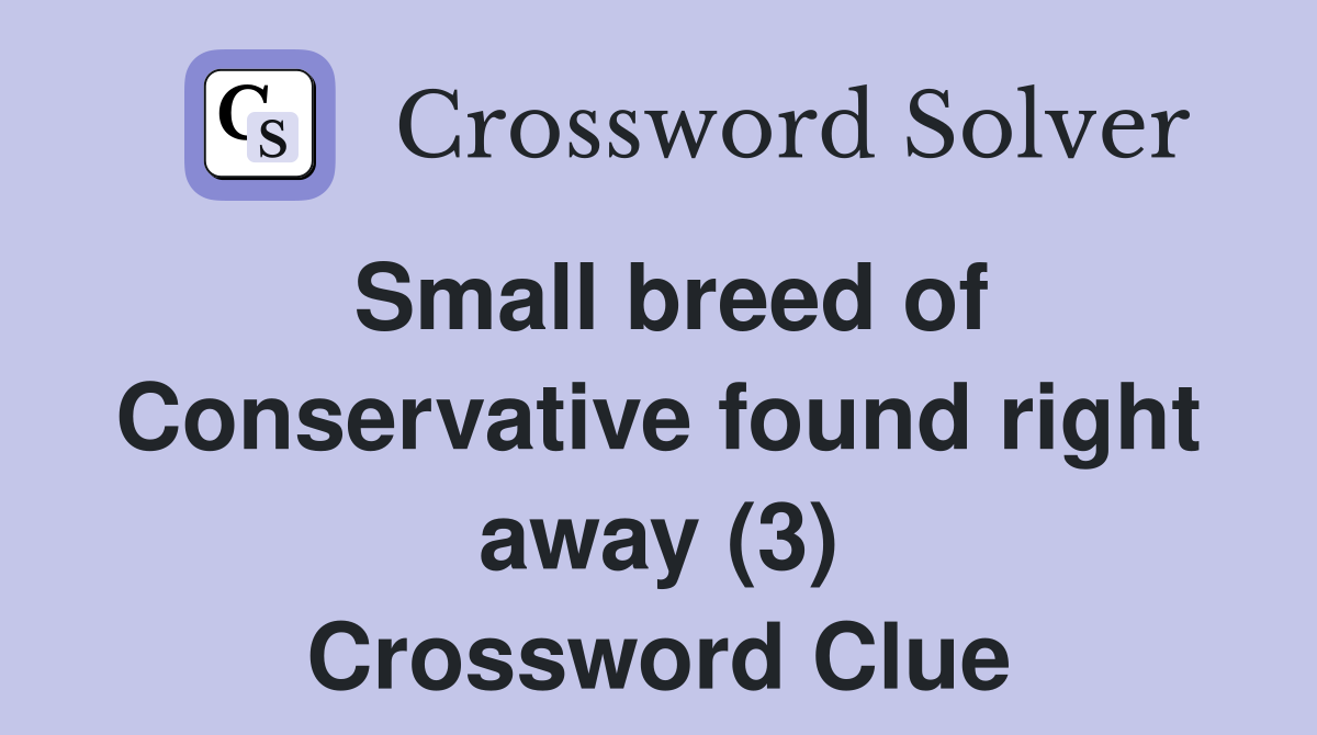Small breed of Conservative found right away (3) Crossword Clue