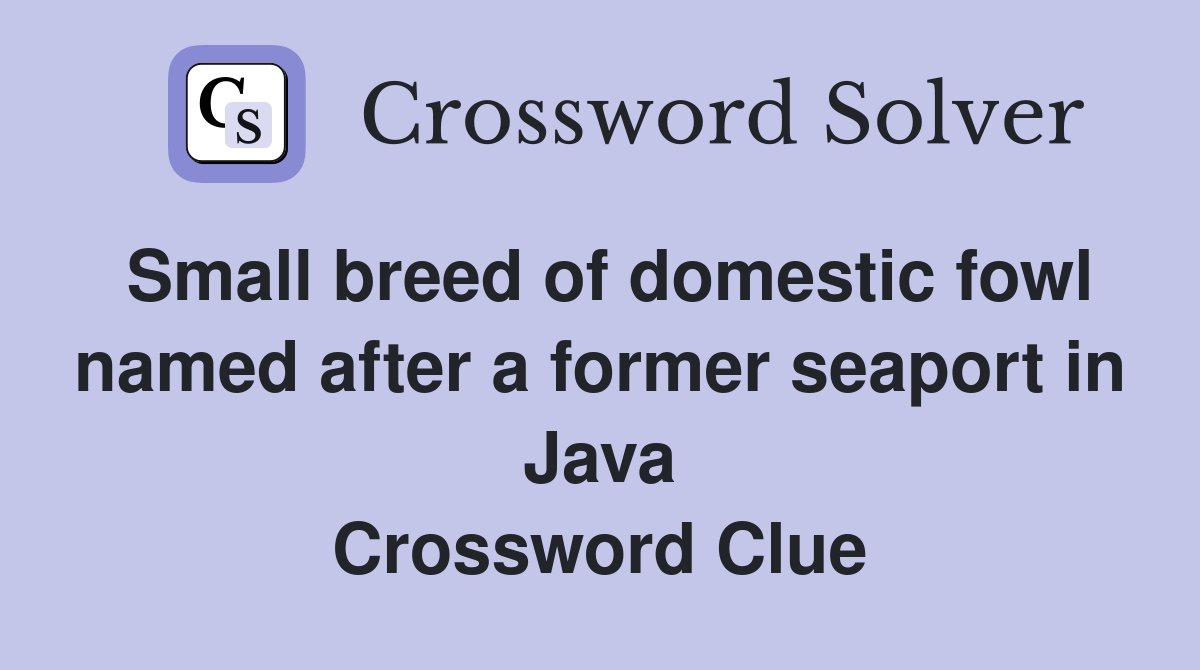 Small breed of domestic fowl named after a former seaport in Java Crossword Clue