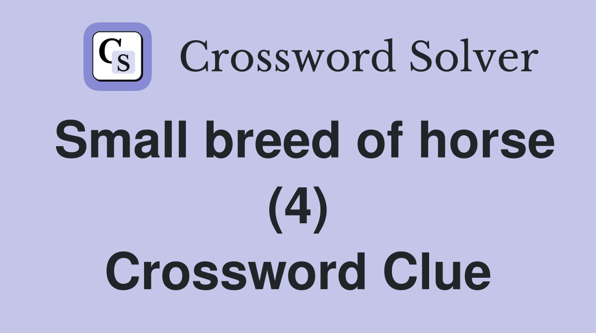 Small breed of horse (4) Crossword Clue