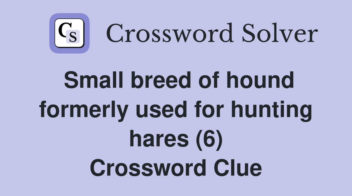 Small breed of hound formerly used for hunting hares (6) Crossword Clue