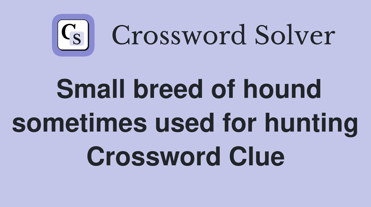 Small breed of hound sometimes used for hunting Crossword Clue
