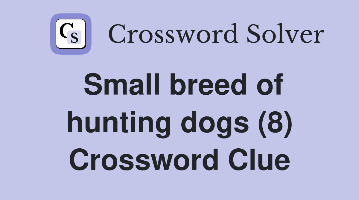 Small breed of hunting dogs (8) Crossword Clue