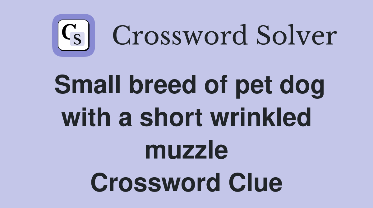 Small breed of pet dog with a short wrinkled muzzle Crossword Clue