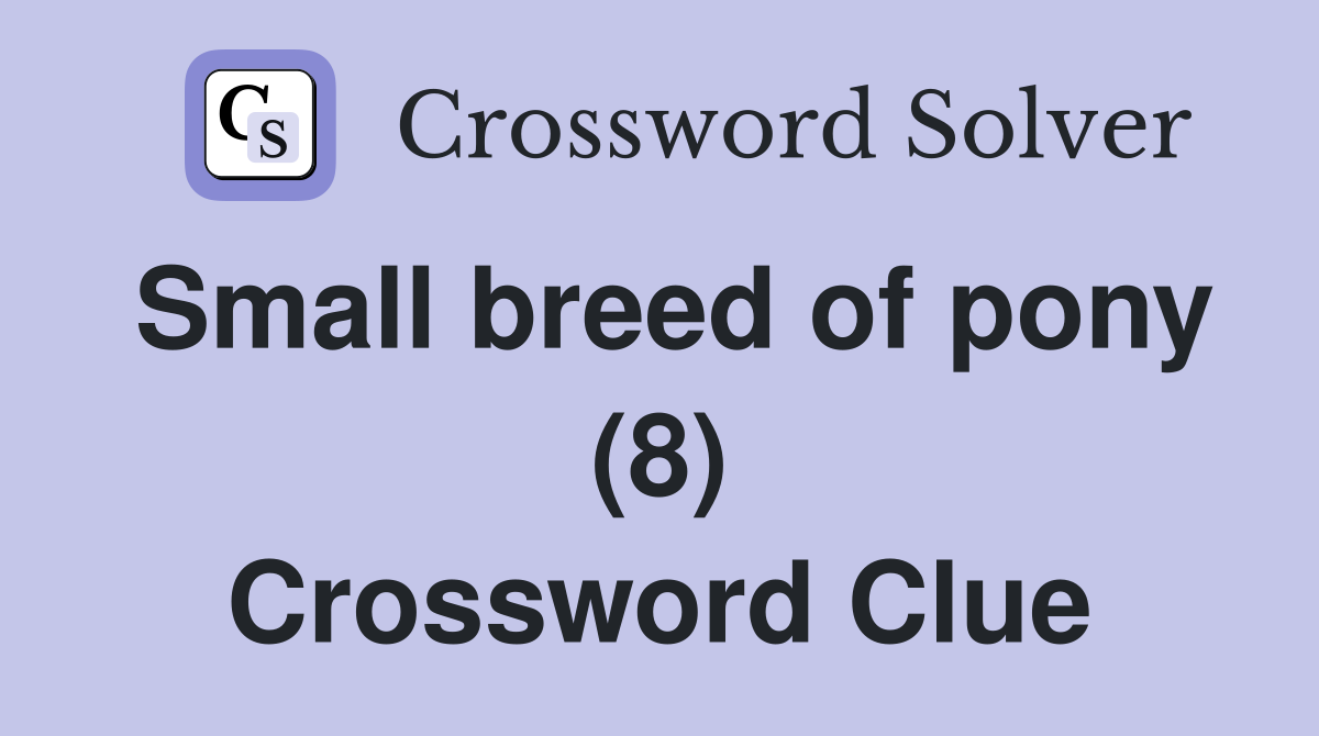 Small breed of pony (8) Crossword Clue