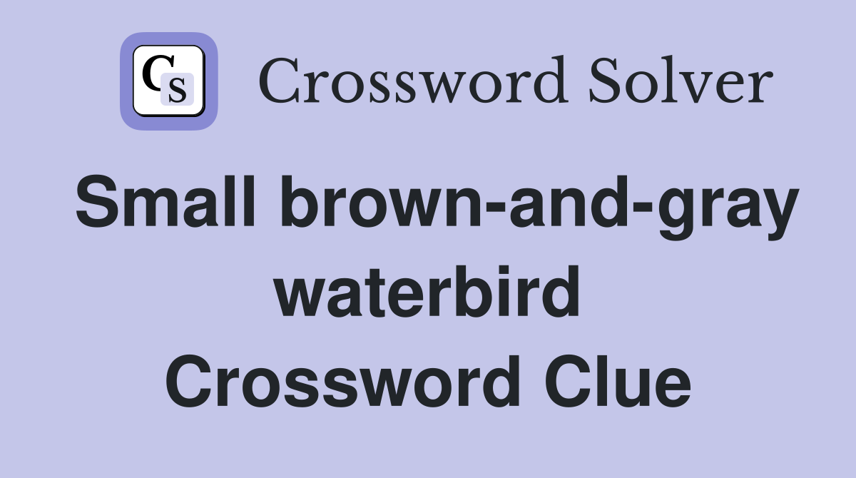 Small brown-and-gray waterbird Crossword Clue
