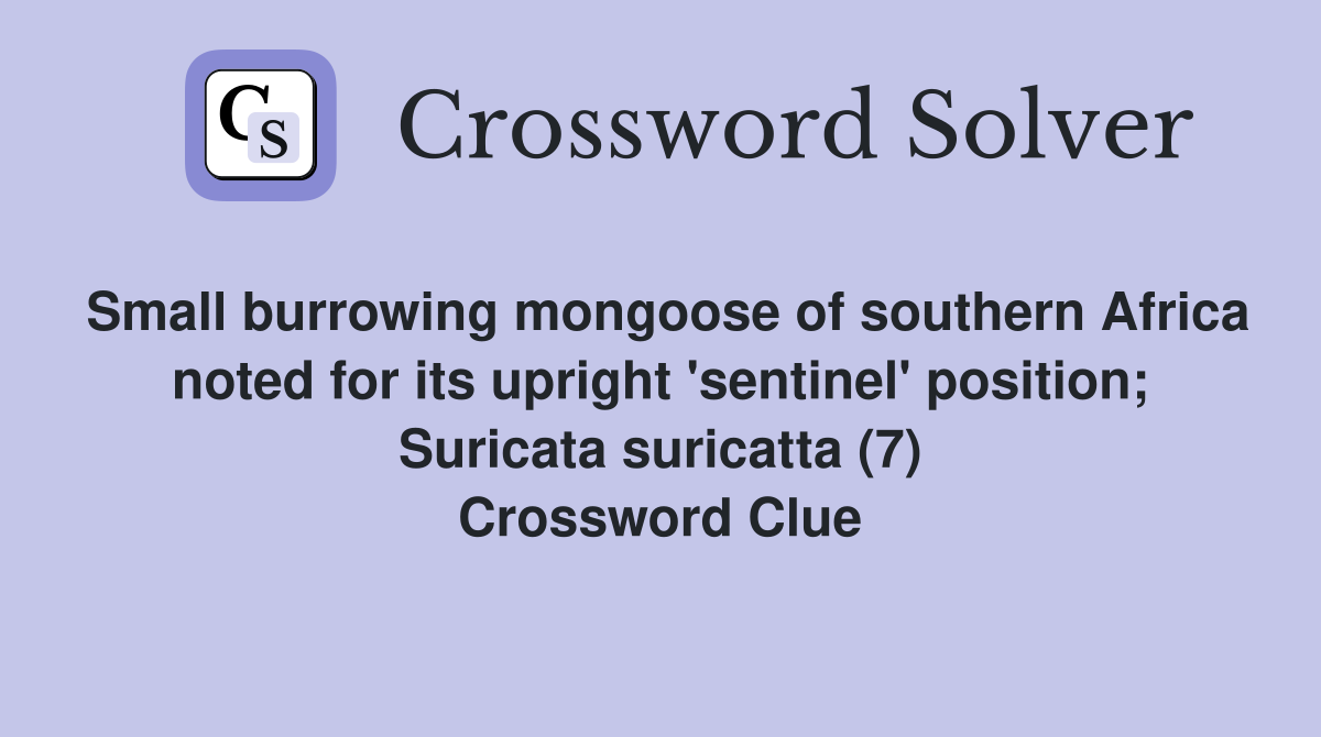 Small burrowing mongoose of southern Africa noted for its upright 'sentinel' position; Suricata suricatta (7) Crossword Clue