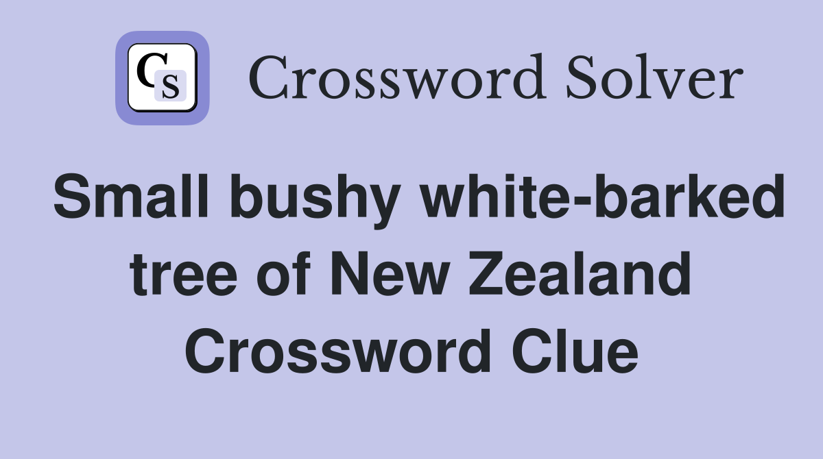 Small bushy white-barked tree of New Zealand Crossword Clue