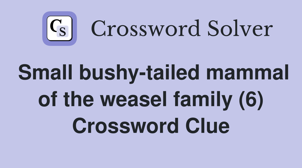 Small bushy-tailed mammal of the weasel family (6) Crossword Clue