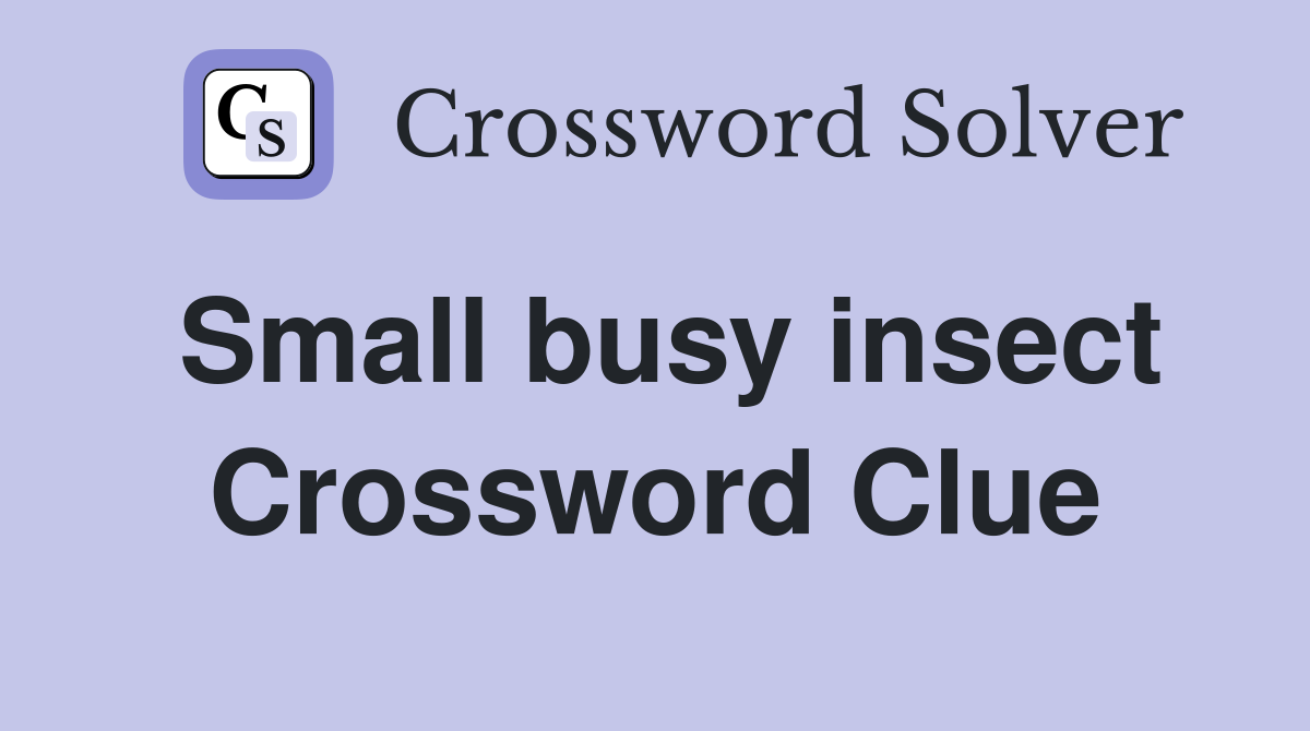 Small busy insect Crossword Clue
