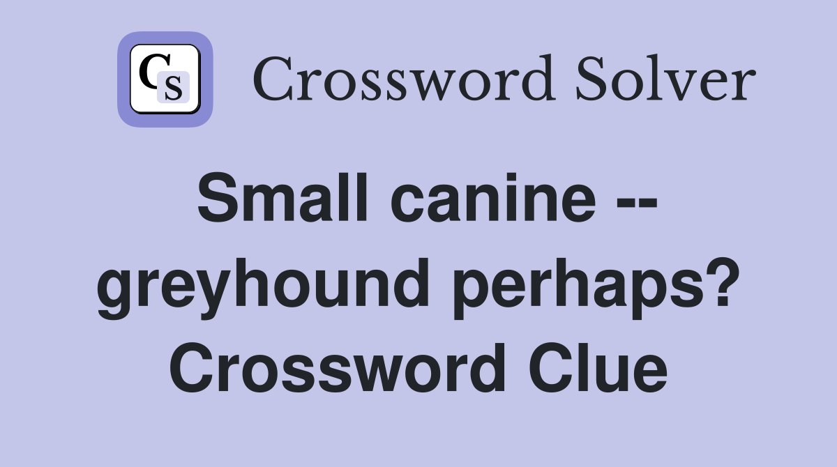Small canine -- greyhound perhaps? Crossword Clue