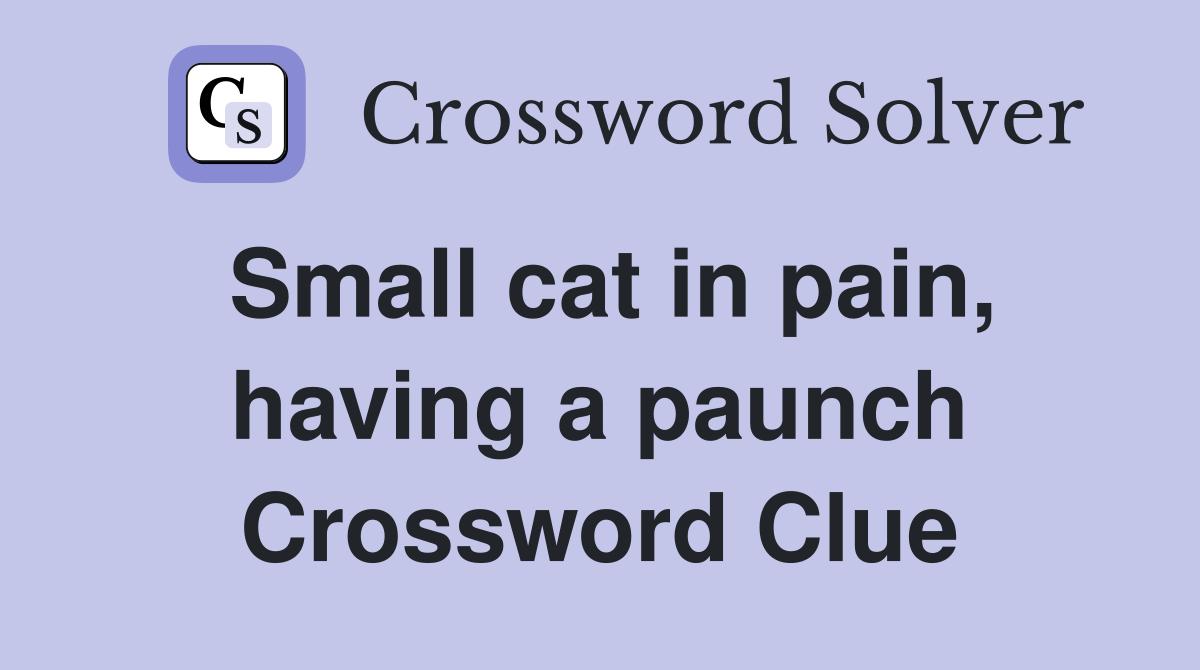 Small cat in pain, having a paunch Crossword Clue