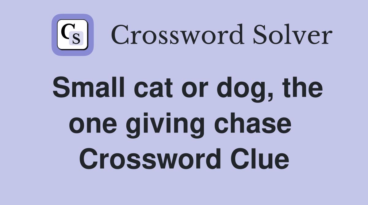 Small cat or dog, the one giving chase  Crossword Clue