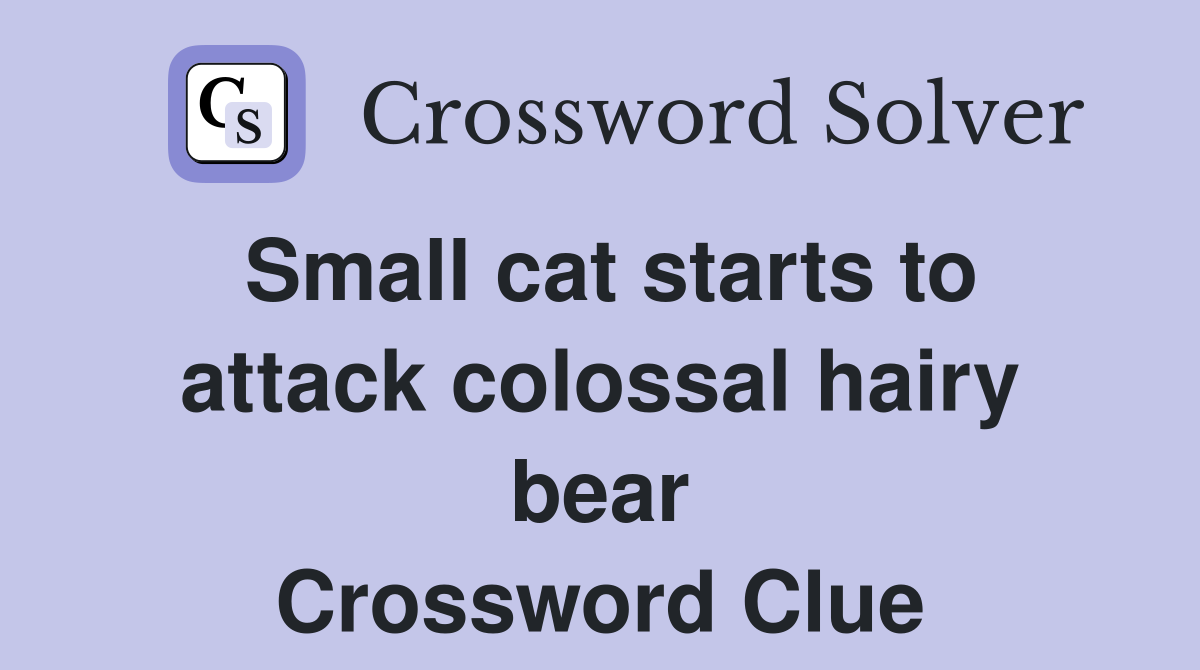 Small cat starts to attack colossal hairy bear Crossword Clue