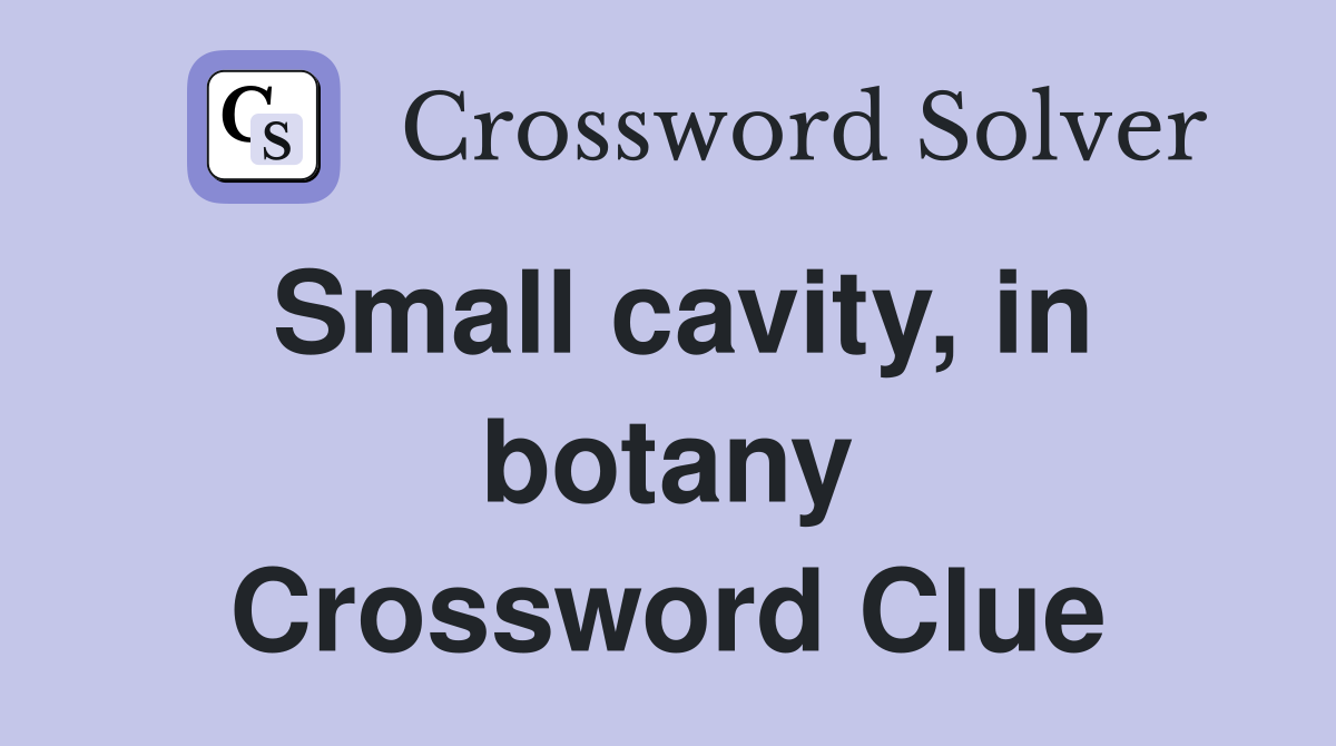 Small cavity, in botany Crossword Clue
