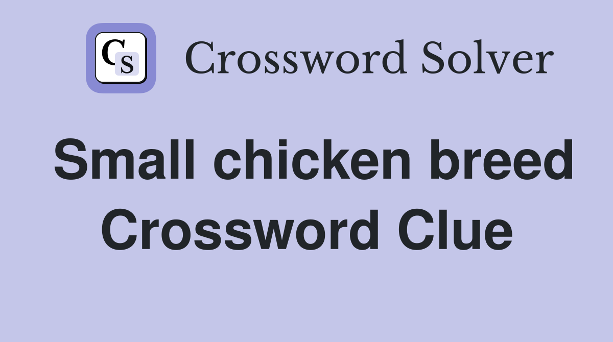 Small chicken breed Crossword Clue