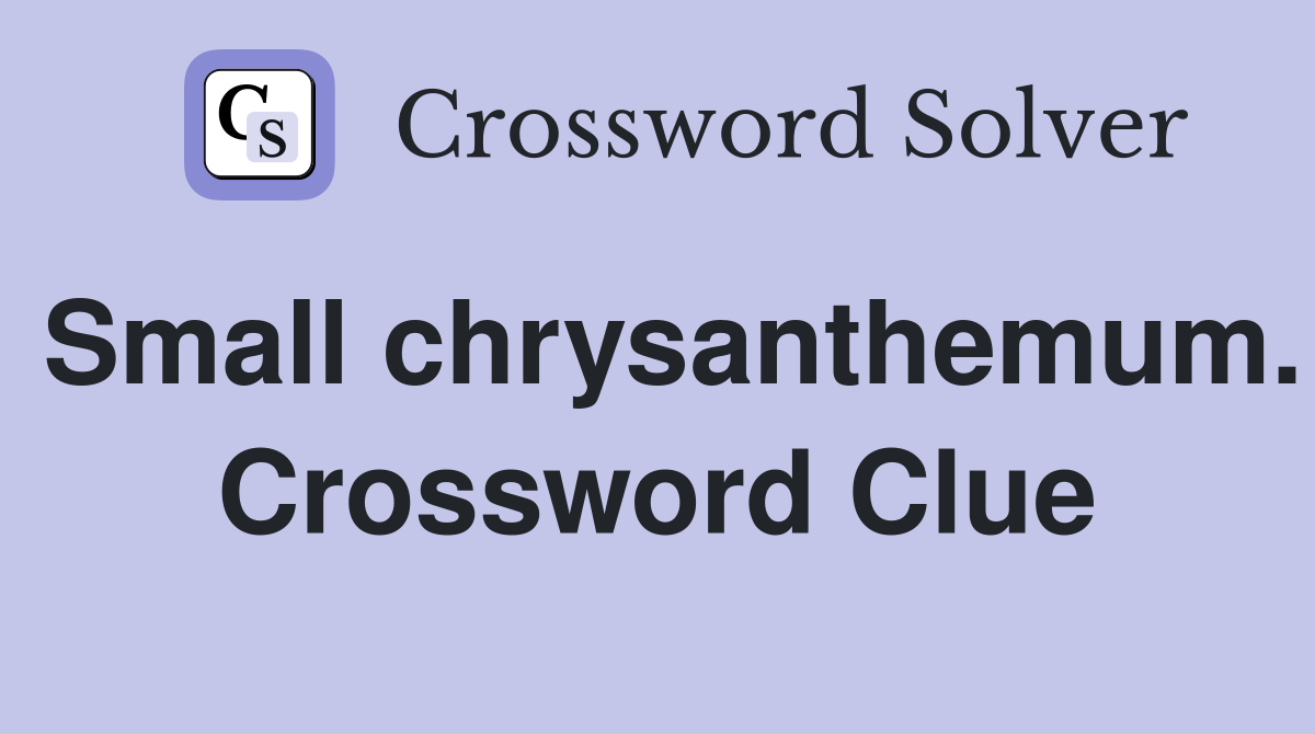 Small chrysanthemum. Crossword Clue
