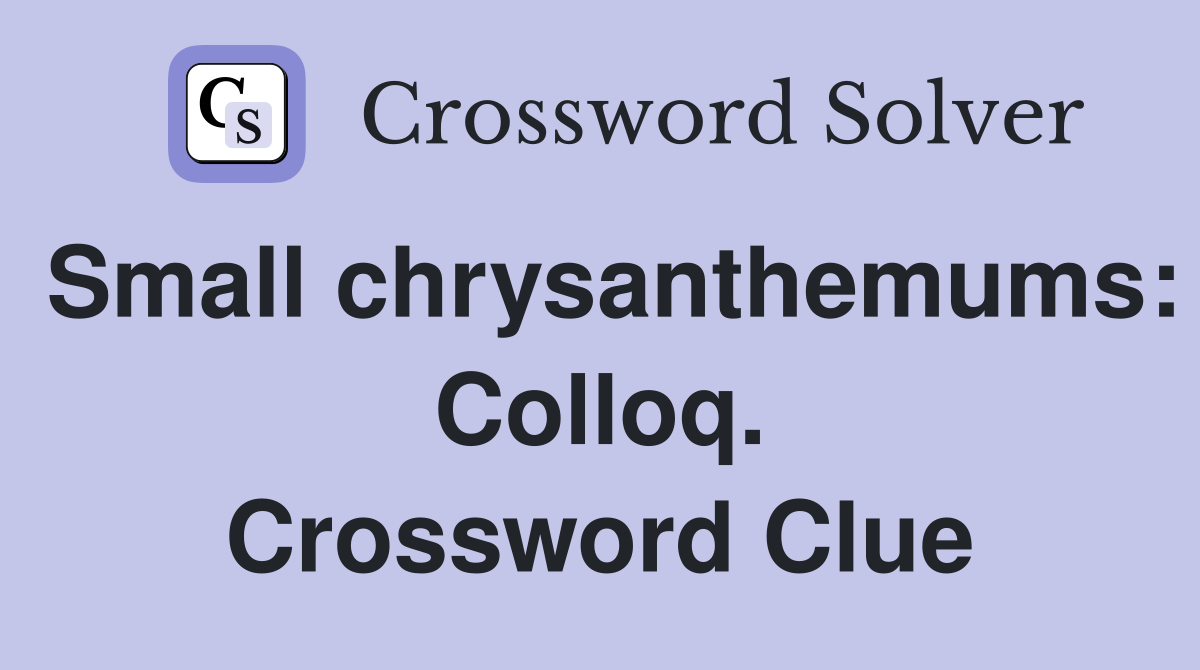 Small chrysanthemums: Colloq. Crossword Clue