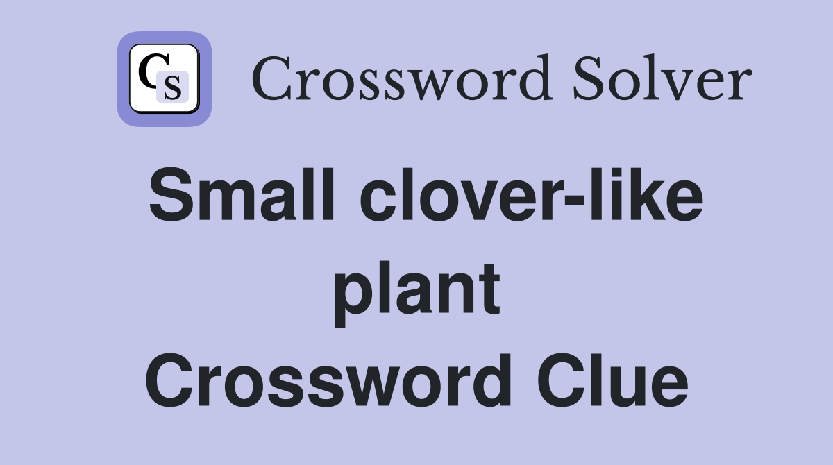 Small clover-like plant Crossword Clue