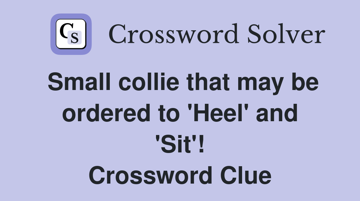 Small collie that may be ordered to 'Heel' and 'Sit'! Crossword Clue