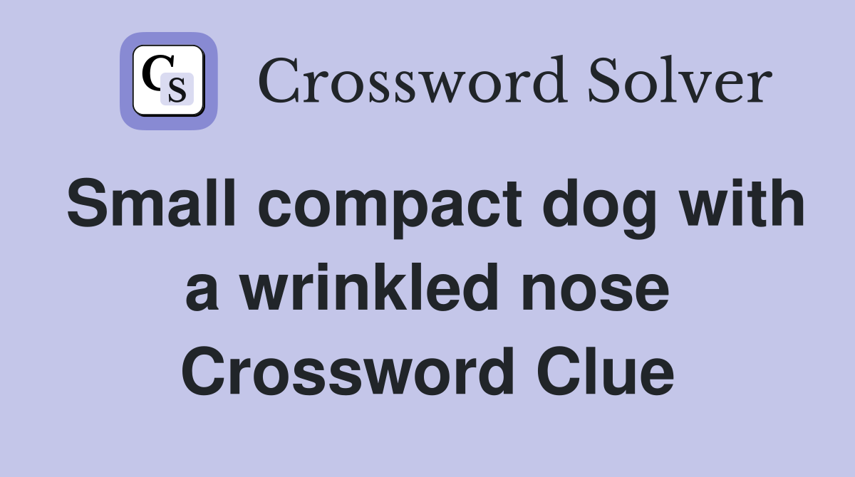 Small compact dog with a wrinkled nose Crossword Clue