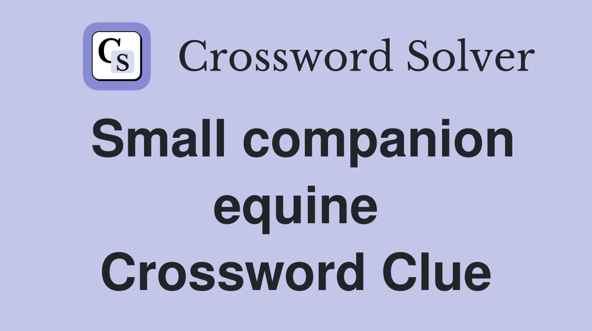 Small companion equine Crossword Clue