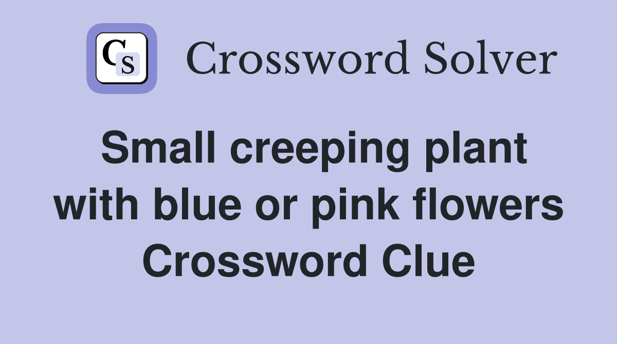 Small creeping plant with blue or pink flowers Crossword Clue