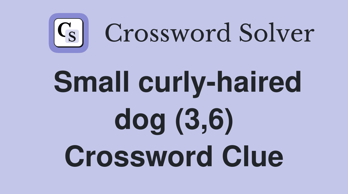 Small curly-haired dog (3,6) Crossword Clue