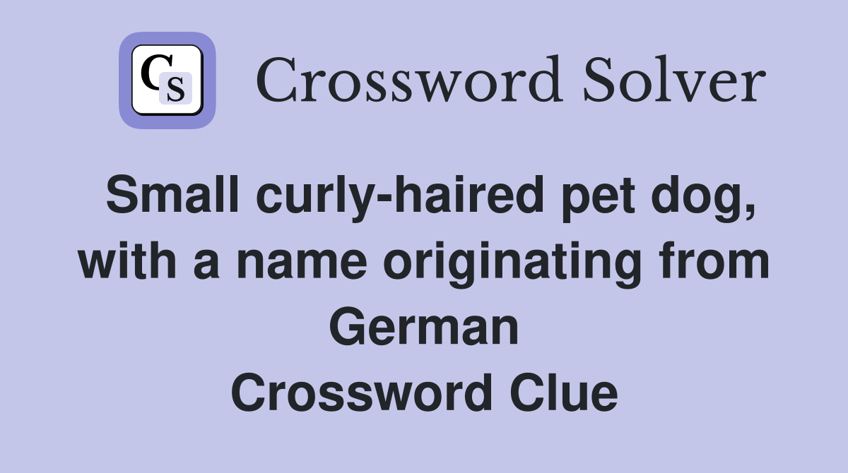 Small curly-haired pet dog, with a name originating from German Crossword Clue