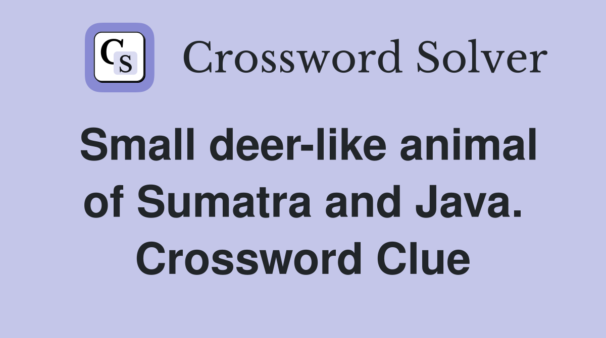 Small deer-like animal of Sumatra and Java. Crossword Clue