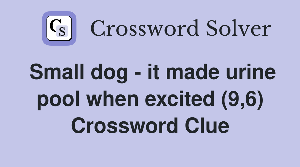 Small dog - it made urine pool when excited (9,6) Crossword Clue