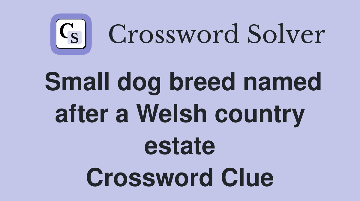 Small dog breed named after a Welsh country estate Crossword Clue