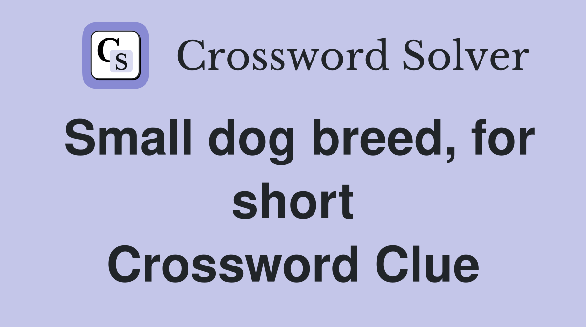 Small dog breed, for short Crossword Clue