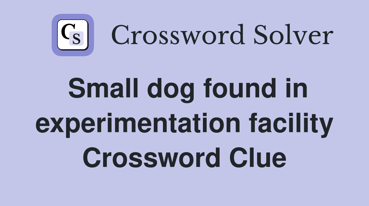 Small dog found in experimentation facility Crossword Clue
