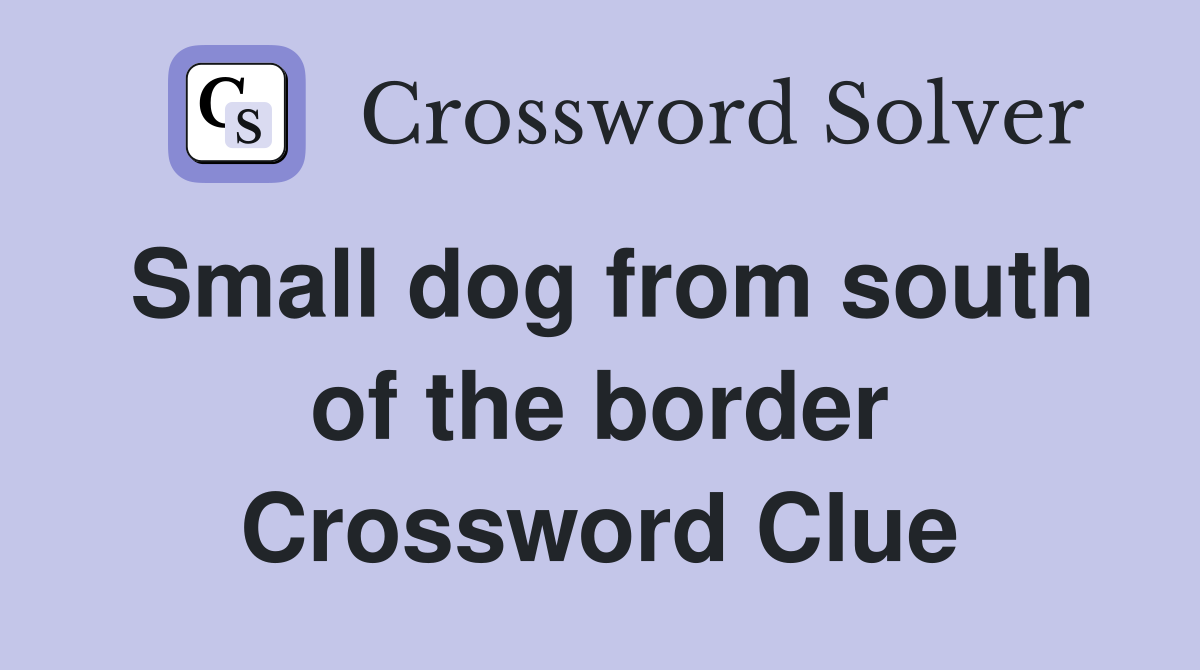 Small dog from south of the border Crossword Clue