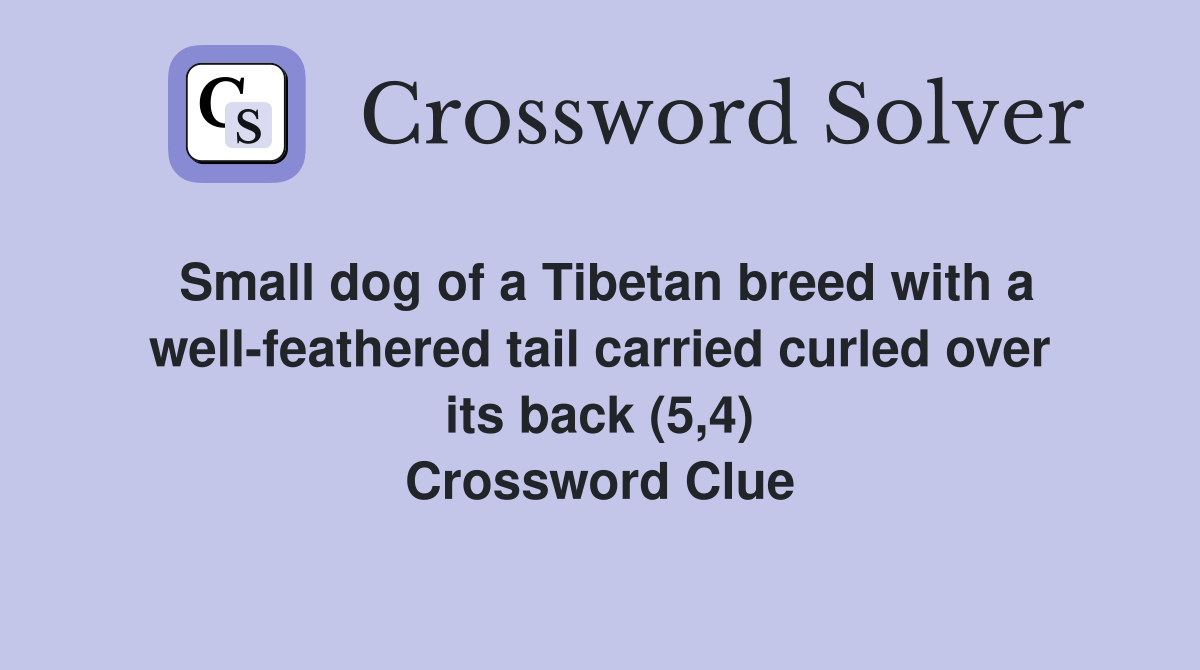 Small dog of a Tibetan breed with a well-feathered tail carried curled over its back (5,4) Crossword Clue