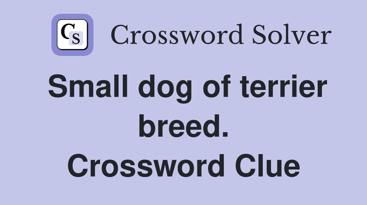 Small dog of terrier breed. Crossword Clue
