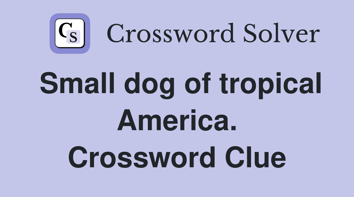 Small dog of tropical America. Crossword Clue