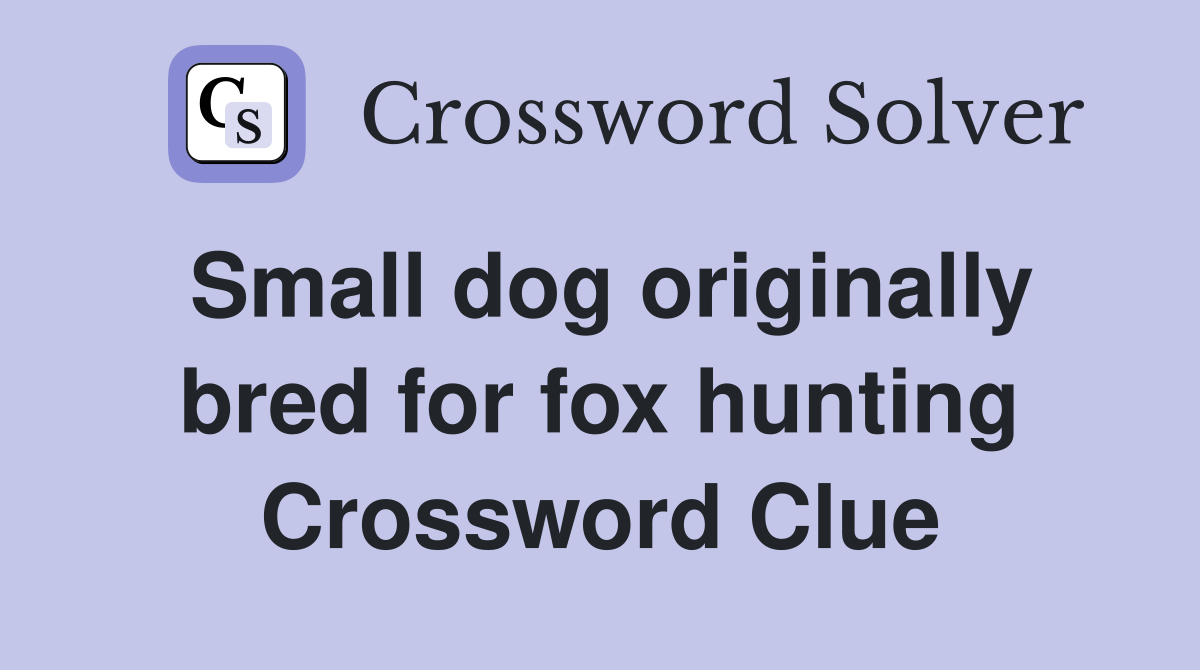 Small dog originally bred for fox hunting Crossword Clue